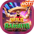 Wild Bandito